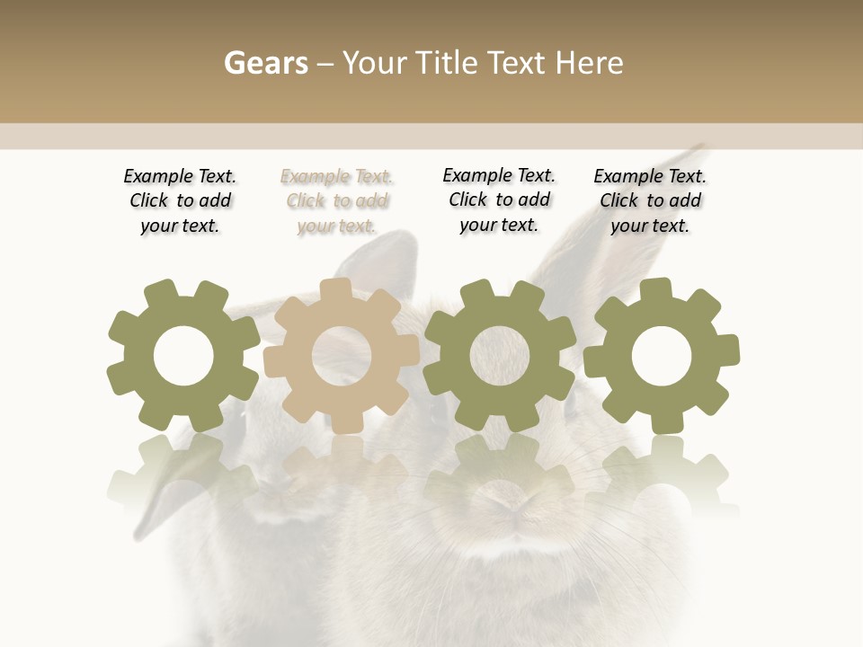 Easter Fluffy Rabbit PowerPoint Template