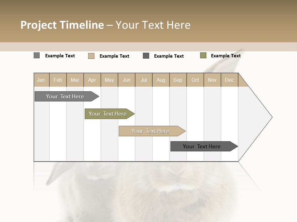 Easter Fluffy Rabbit PowerPoint Template