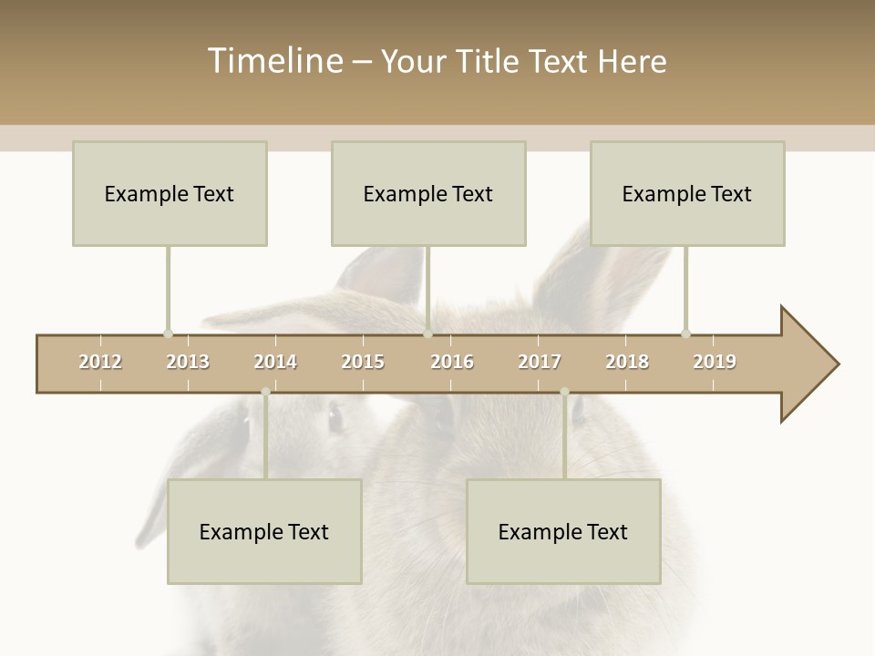 Easter Fluffy Rabbit PowerPoint Template