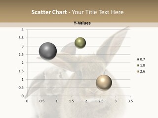 Easter Fluffy Rabbit PowerPoint Template