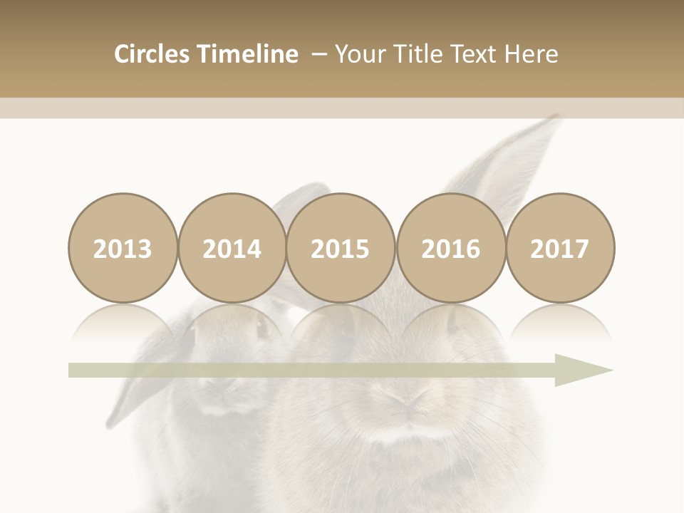 Easter Fluffy Rabbit PowerPoint Template