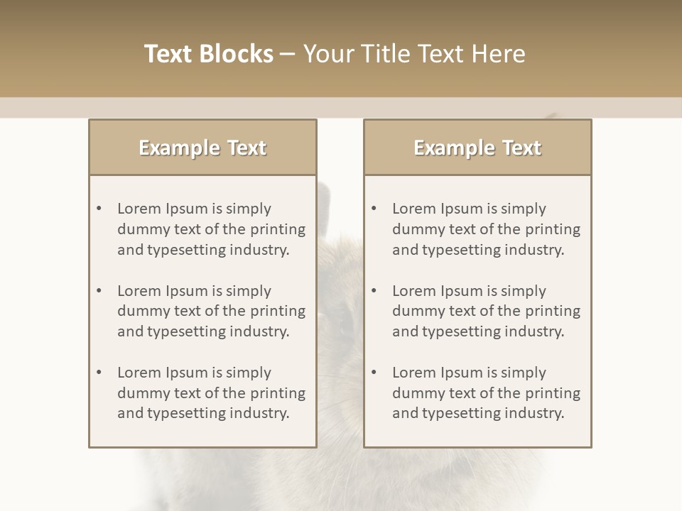 Easter Fluffy Rabbit PowerPoint Template