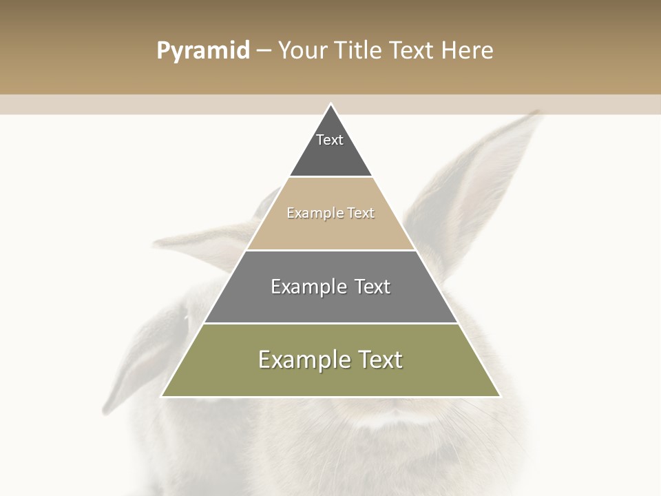 Easter Fluffy Rabbit PowerPoint Template