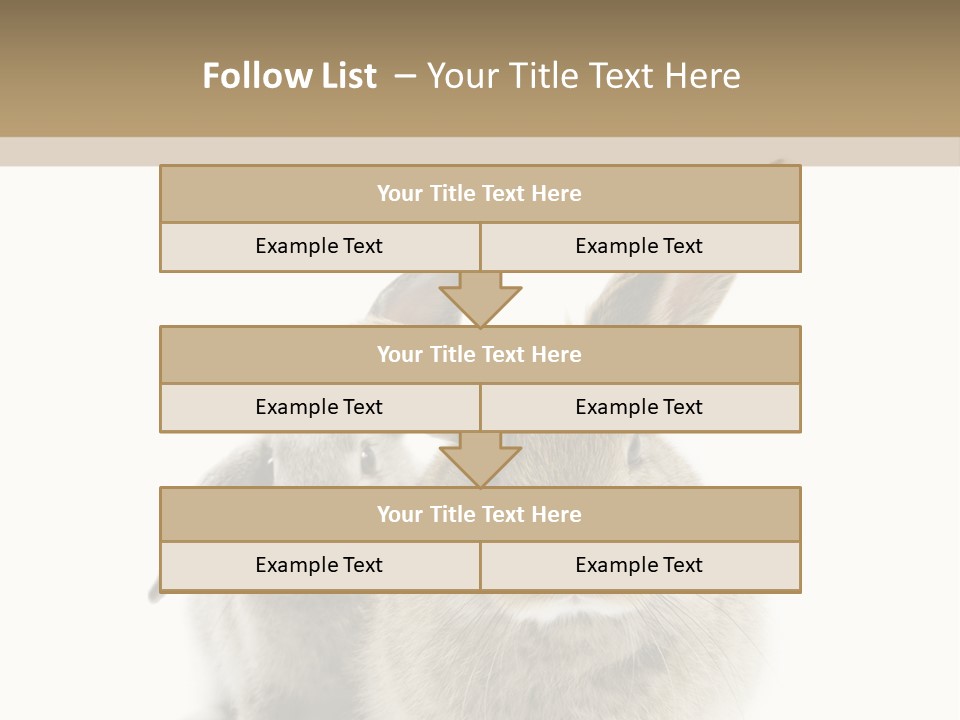 Easter Fluffy Rabbit PowerPoint Template