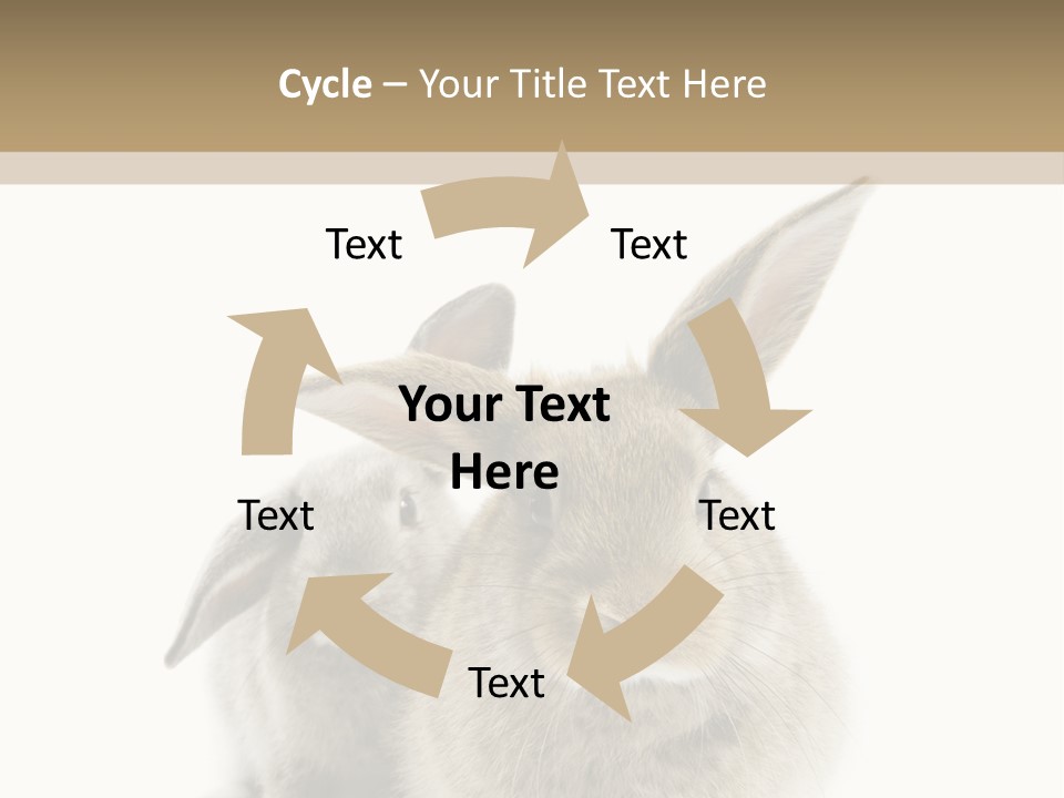 Easter Fluffy Rabbit PowerPoint Template