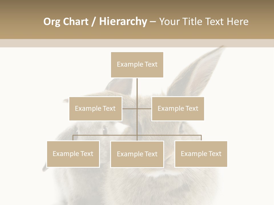 Easter Fluffy Rabbit PowerPoint Template