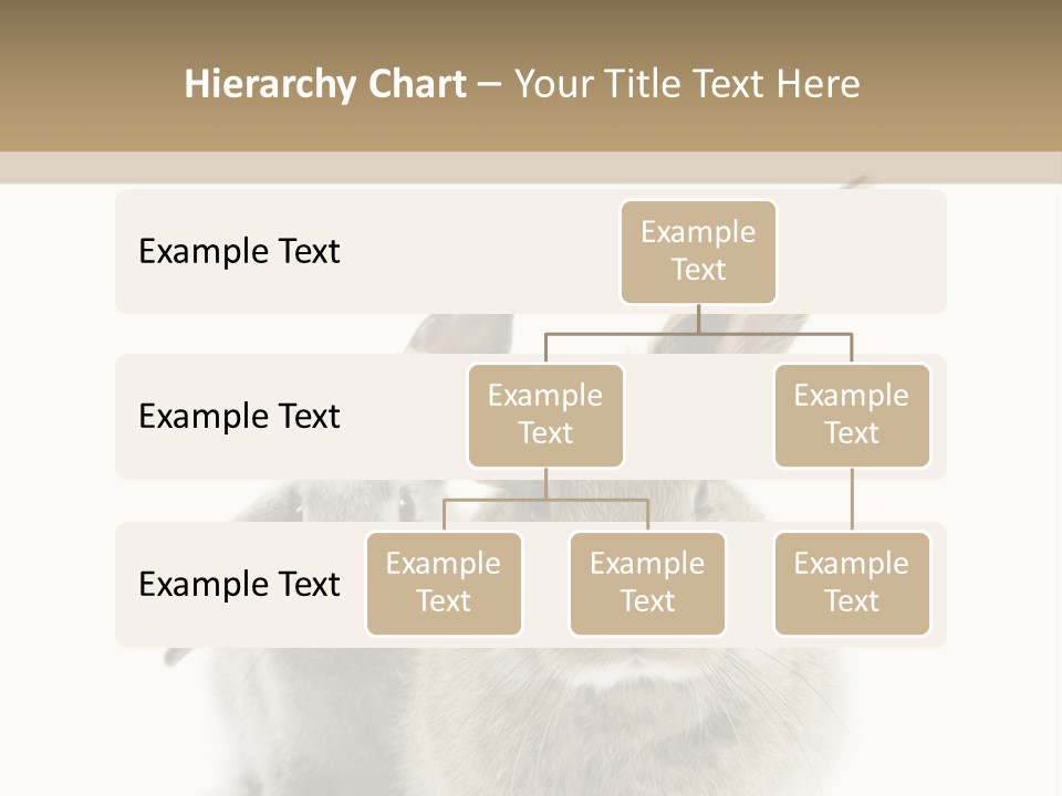 Easter Fluffy Rabbit PowerPoint Template