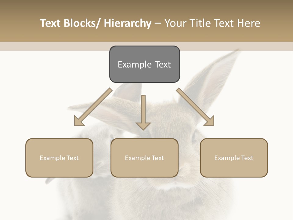 Easter Fluffy Rabbit PowerPoint Template