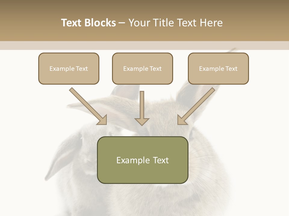 Easter Fluffy Rabbit PowerPoint Template