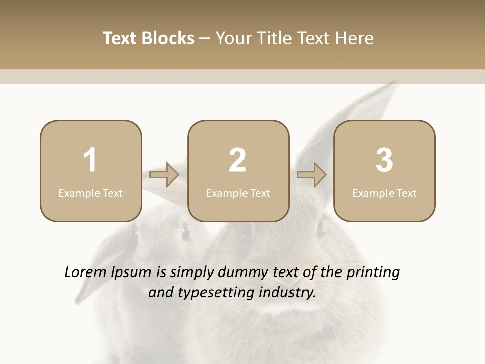 Easter Fluffy Rabbit PowerPoint Template