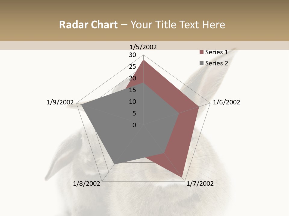 Easter Fluffy Rabbit PowerPoint Template