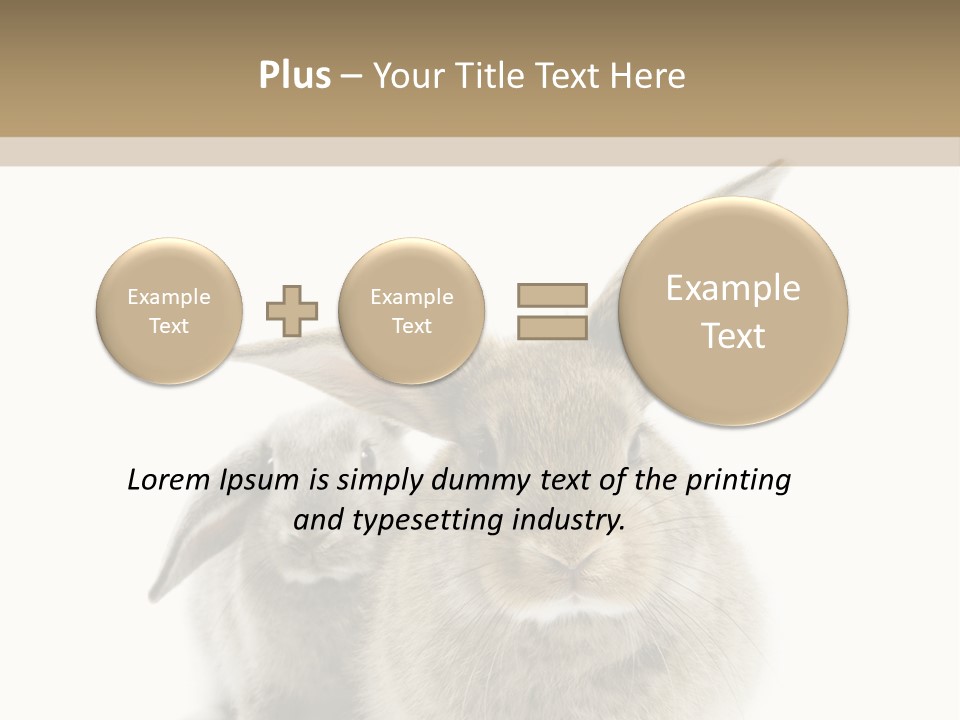 Easter Fluffy Rabbit PowerPoint Template