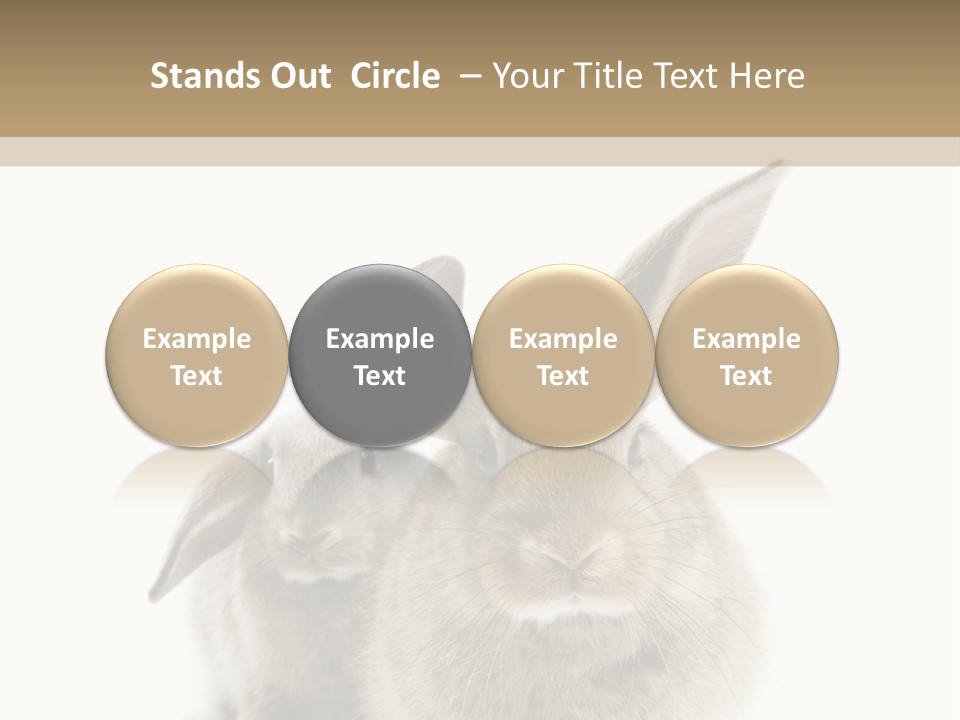 Easter Fluffy Rabbit PowerPoint Template