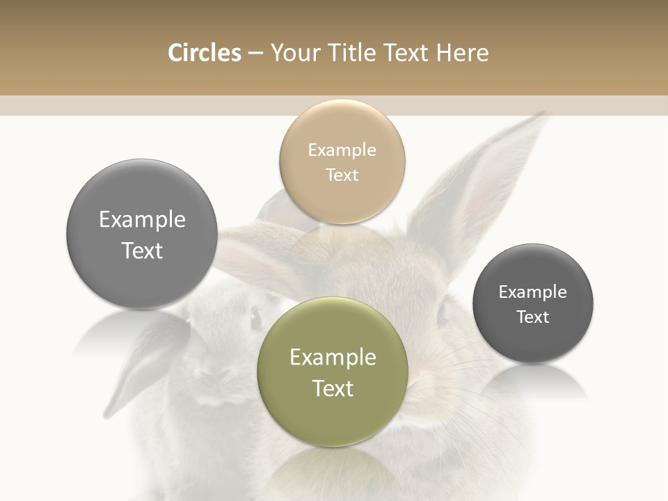 Easter Fluffy Rabbit PowerPoint Template
