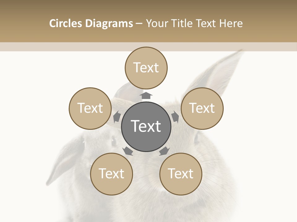 Easter Fluffy Rabbit PowerPoint Template