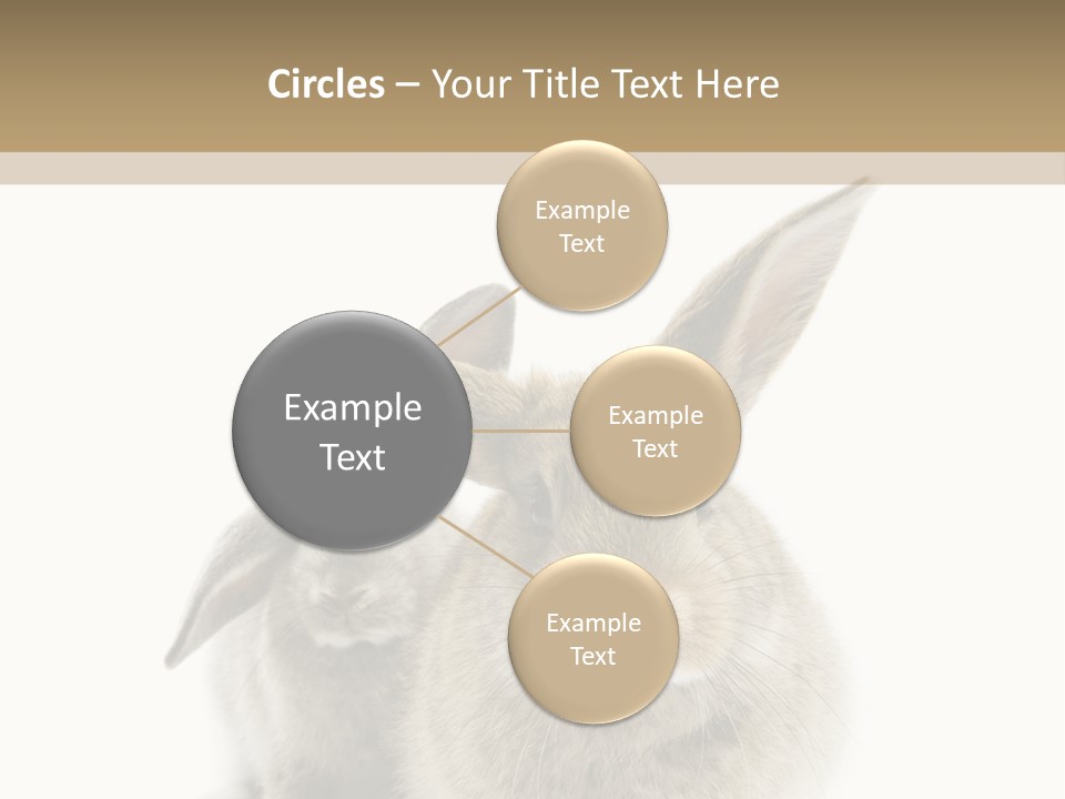 Easter Fluffy Rabbit PowerPoint Template