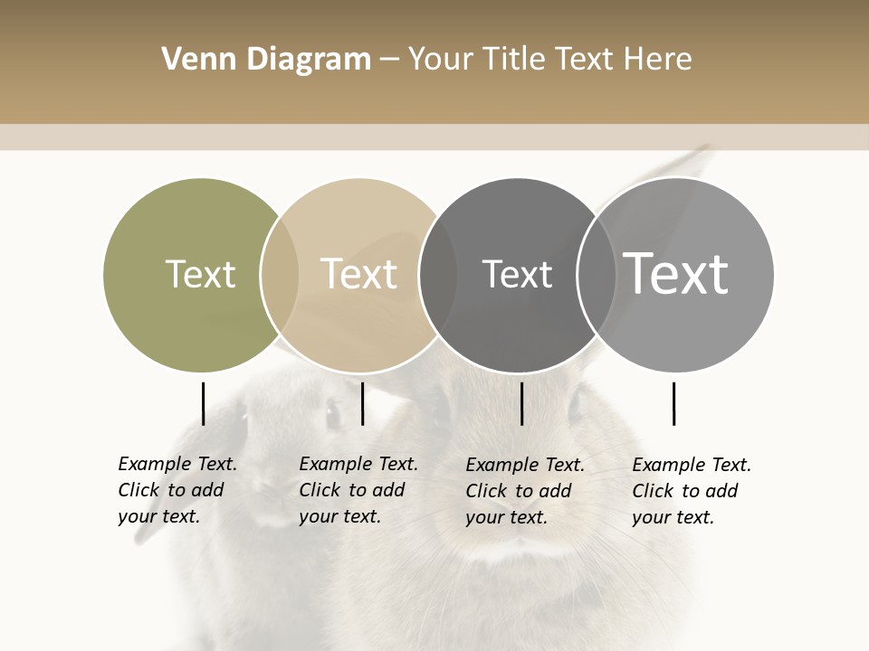 Easter Fluffy Rabbit PowerPoint Template