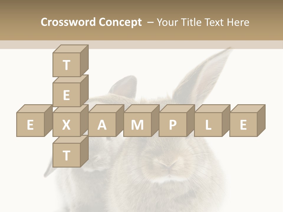 Easter Fluffy Rabbit PowerPoint Template