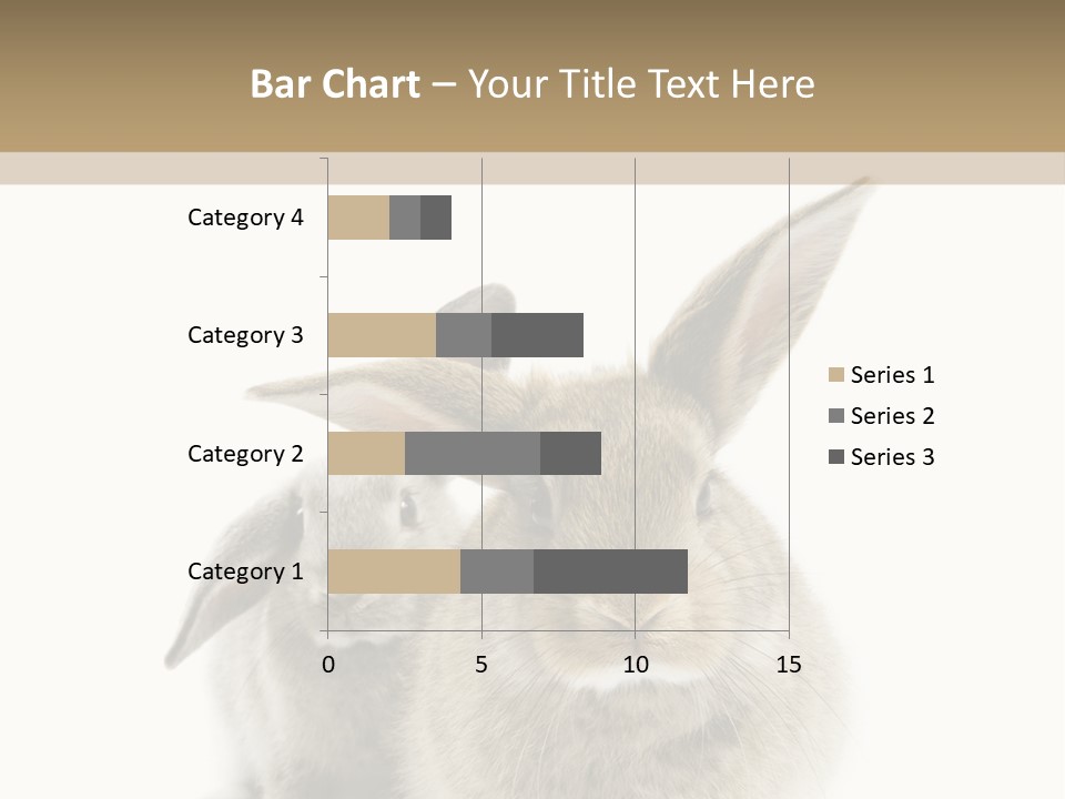 Easter Fluffy Rabbit PowerPoint Template