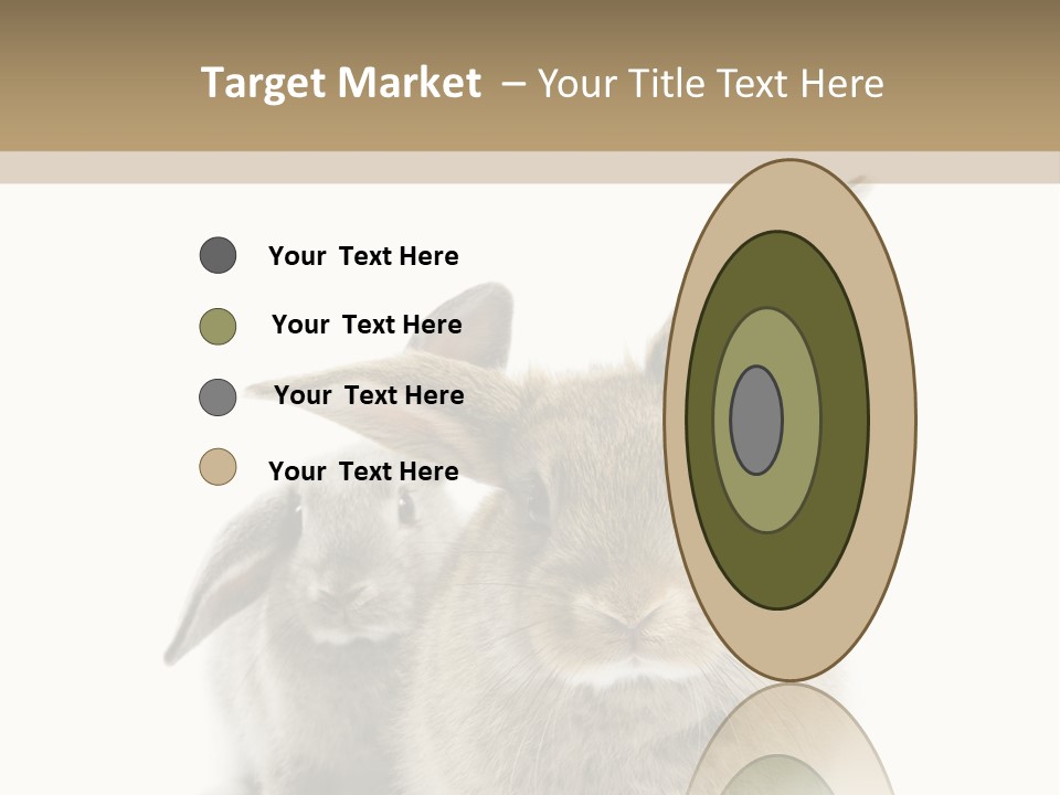 Easter Fluffy Rabbit PowerPoint Template