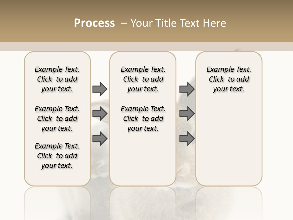 Easter Fluffy Rabbit PowerPoint Template