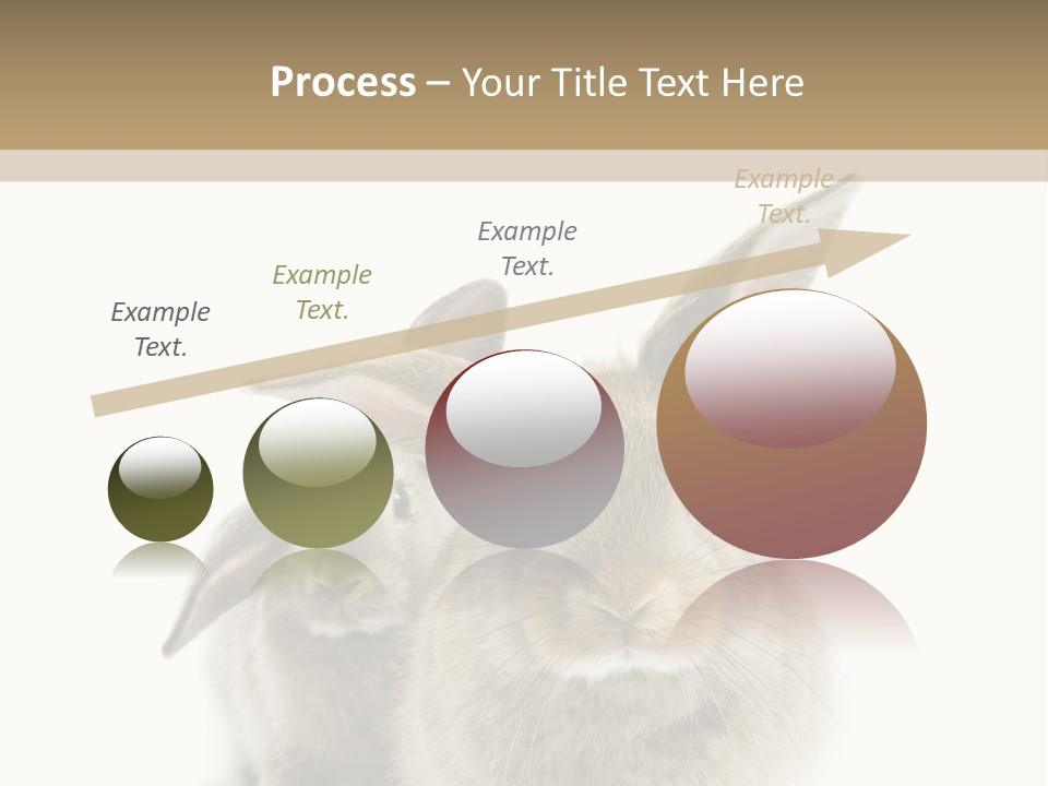 Easter Fluffy Rabbit PowerPoint Template