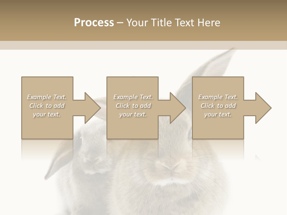 Easter Fluffy Rabbit PowerPoint Template