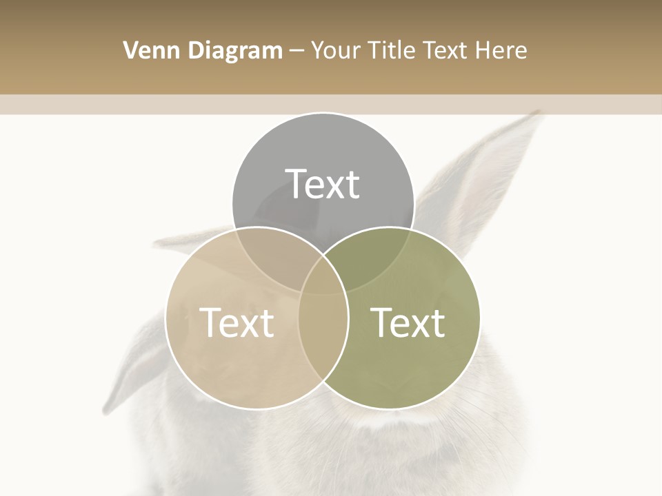 Easter Fluffy Rabbit PowerPoint Template