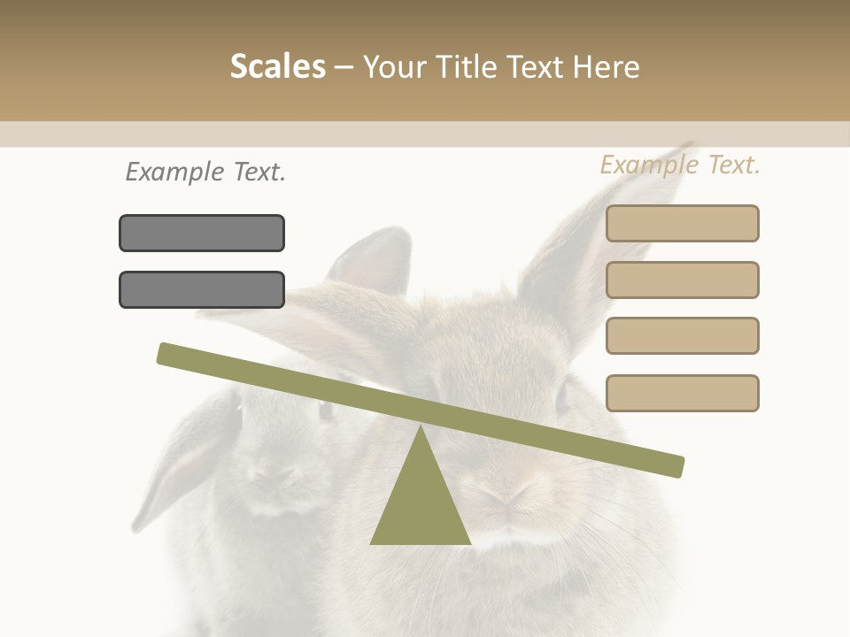 Easter Fluffy Rabbit PowerPoint Template