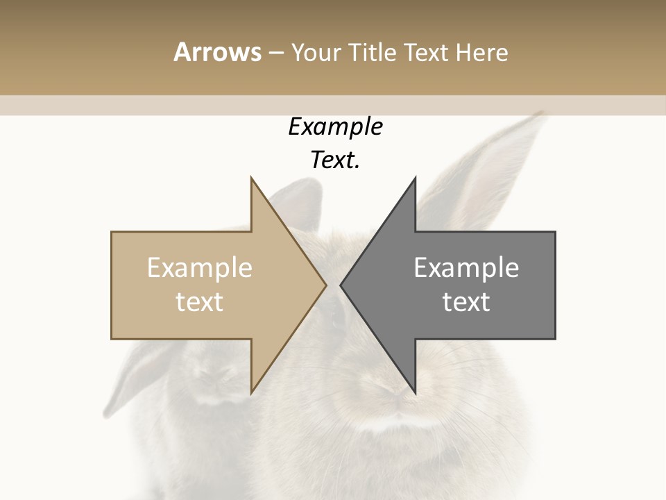 Easter Fluffy Rabbit PowerPoint Template