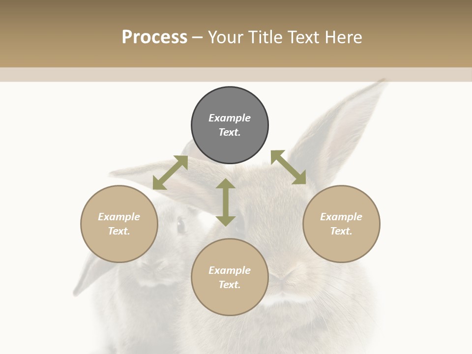 Easter Fluffy Rabbit PowerPoint Template
