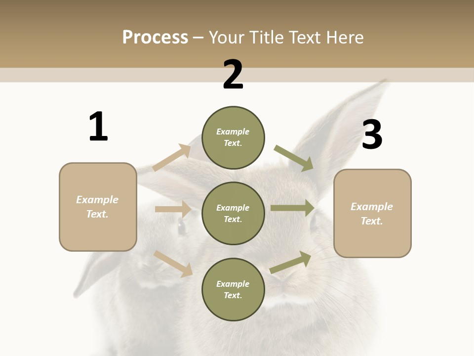 Easter Fluffy Rabbit PowerPoint Template