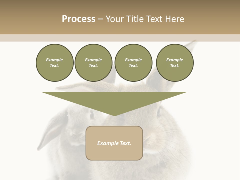 Easter Fluffy Rabbit PowerPoint Template