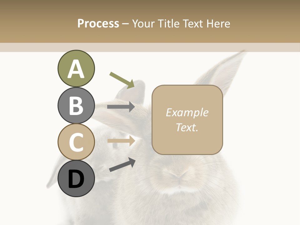 Easter Fluffy Rabbit PowerPoint Template