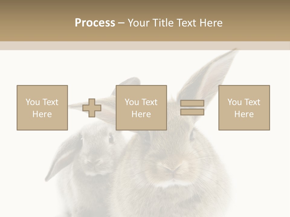 Easter Fluffy Rabbit PowerPoint Template