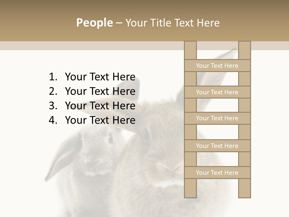 Easter Fluffy Rabbit PowerPoint Template