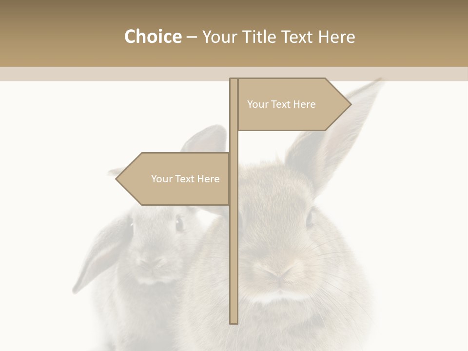 Easter Fluffy Rabbit PowerPoint Template