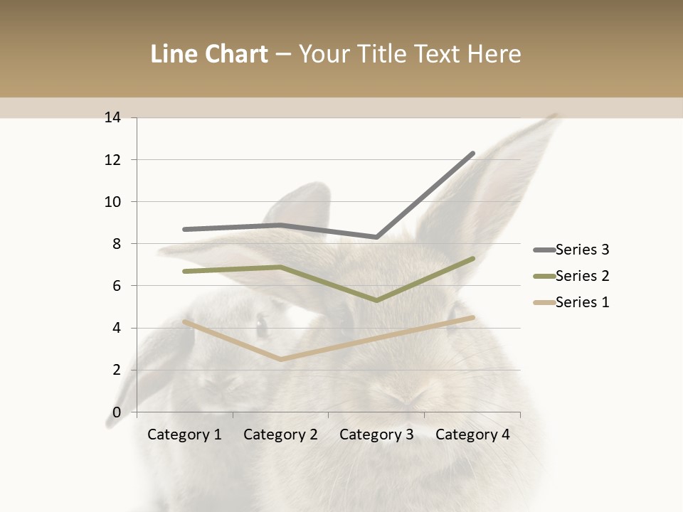 Easter Fluffy Rabbit PowerPoint Template