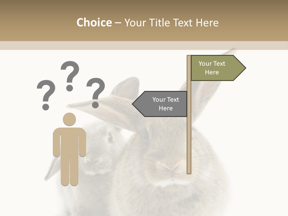 Easter Fluffy Rabbit PowerPoint Template