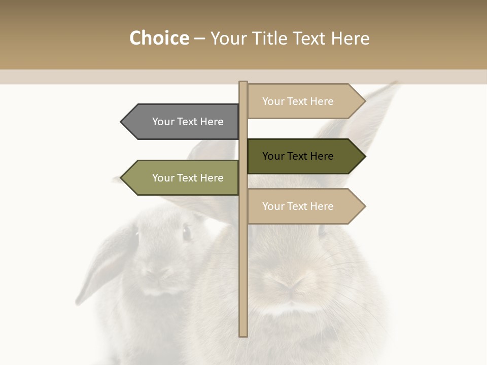 Easter Fluffy Rabbit PowerPoint Template