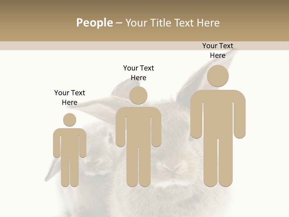 Easter Fluffy Rabbit PowerPoint Template