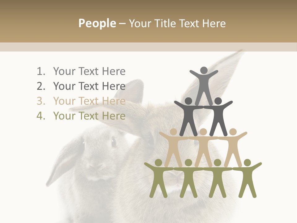 Easter Fluffy Rabbit PowerPoint Template