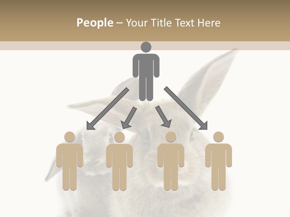 Easter Fluffy Rabbit PowerPoint Template