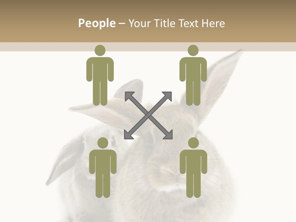 Easter Fluffy Rabbit PowerPoint Template