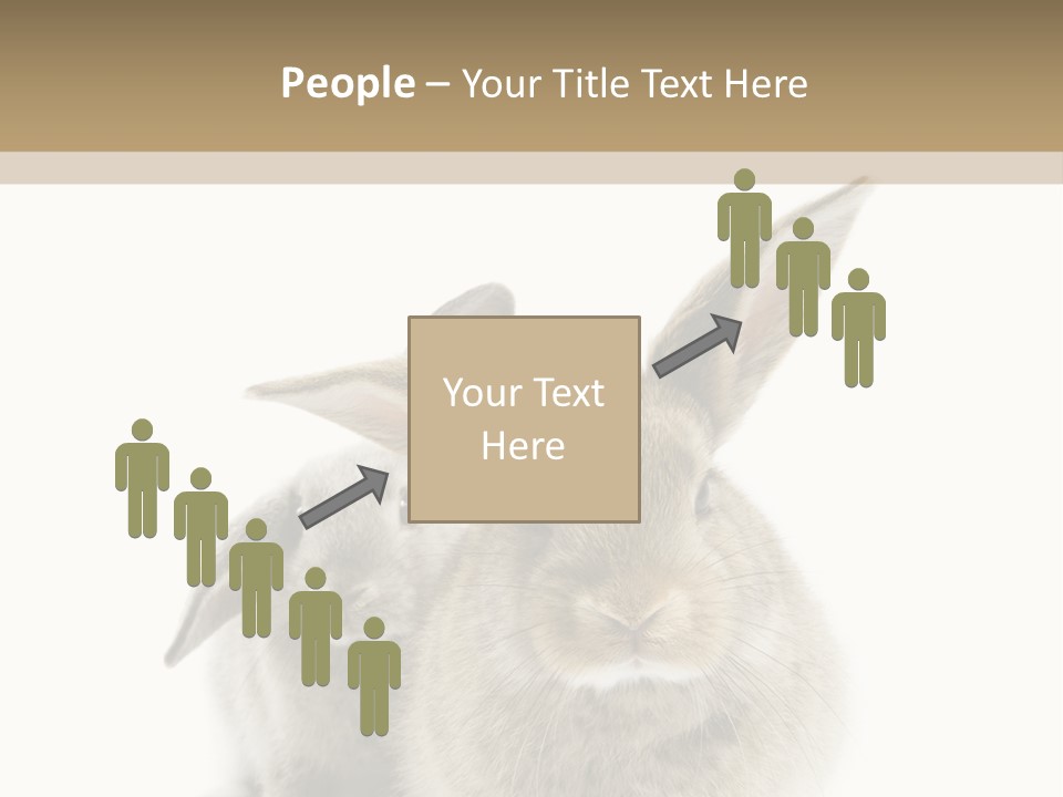 Easter Fluffy Rabbit PowerPoint Template