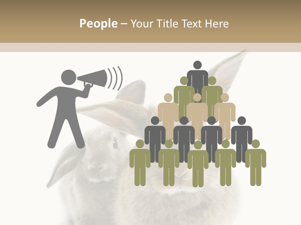 Easter Fluffy Rabbit PowerPoint Template