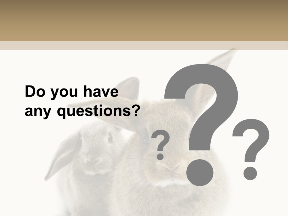 Easter Fluffy Rabbit PowerPoint Template