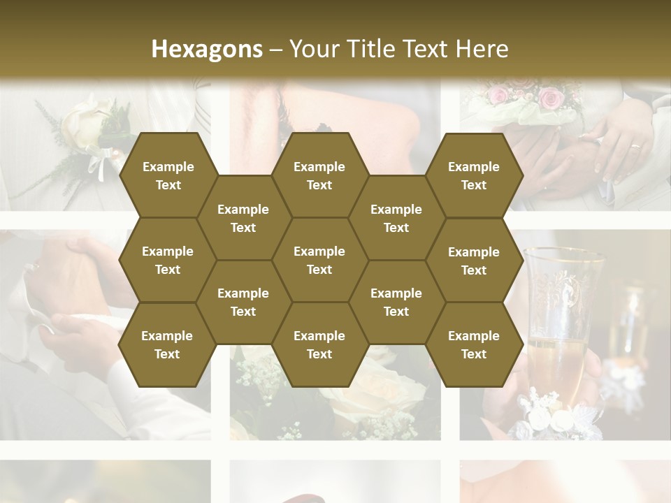 Celebrate Bridal People PowerPoint Template