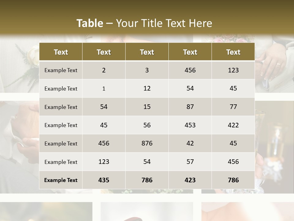 Celebrate Bridal People PowerPoint Template