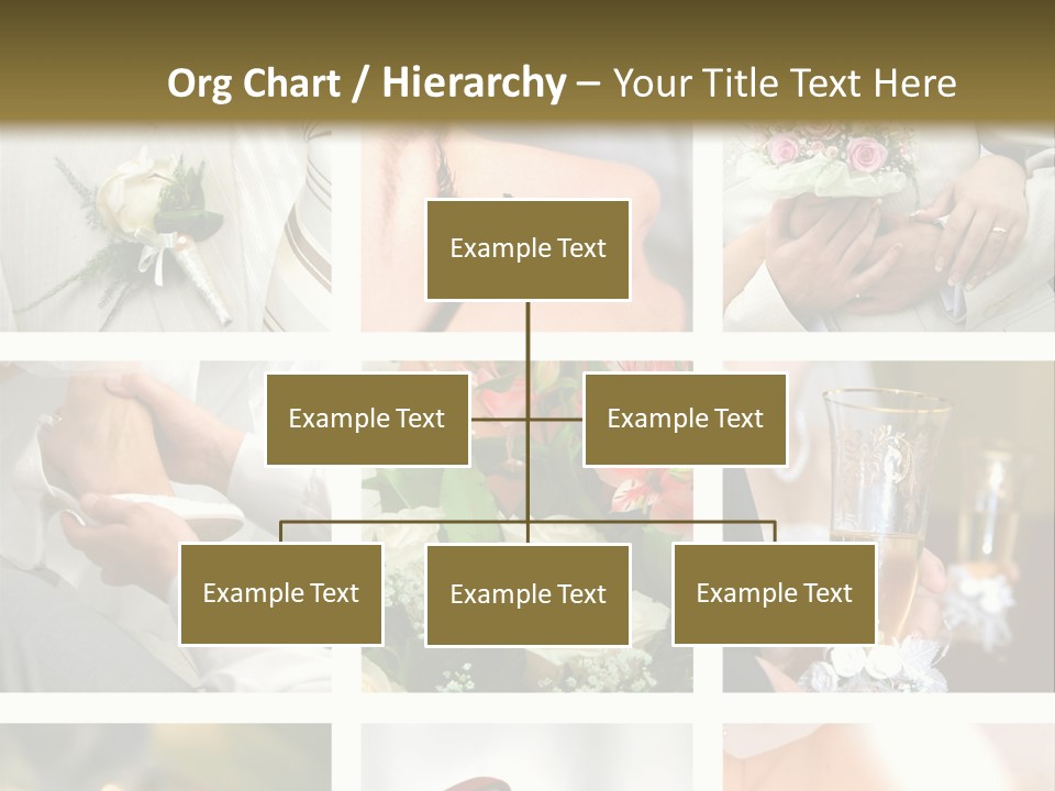 Celebrate Bridal People PowerPoint Template